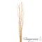 Uniquewise 12 pcs Natural Decorative Dry Branches Authentic Mulberry Sticks, 70 in, peeled white QI004415.M.WT.70 - alternate 8